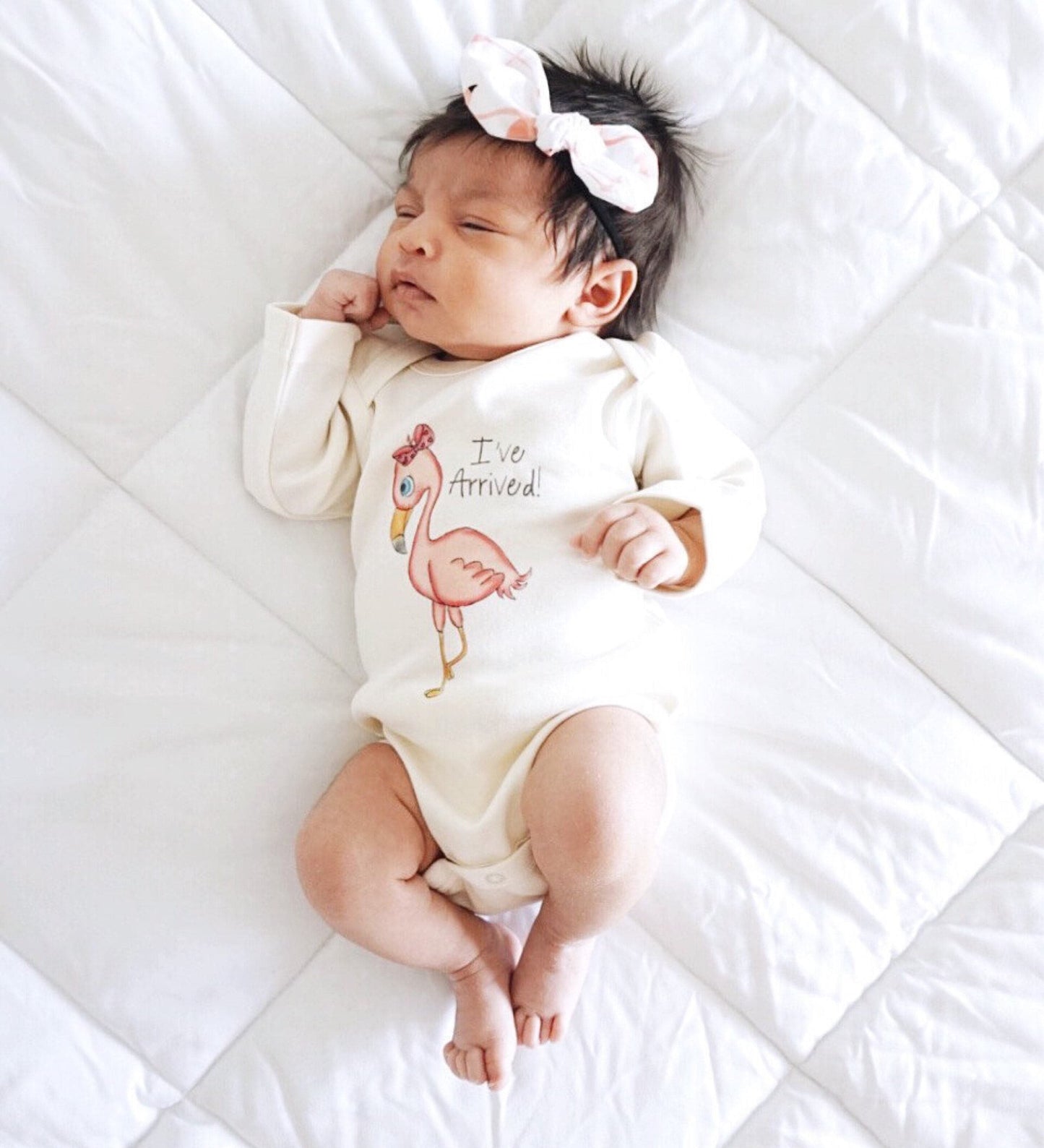 Personalized Flamingo Baby Girl Gift Basket