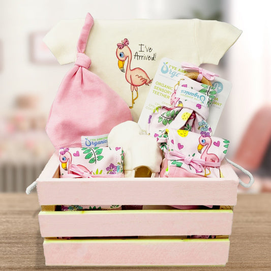 Personalized Flamingo Baby Girl Gift Basket