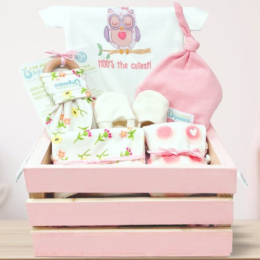 Personalized Owl Baby Girl Gift Basket