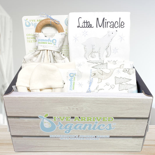 Personalized Arctic Animals Gender Neutral Baby Gift Basket