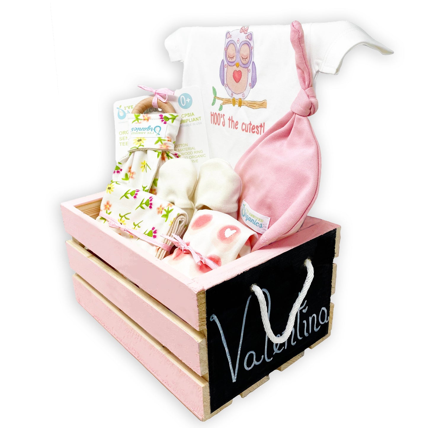 Personalized Owl Baby Girl Gift Basket