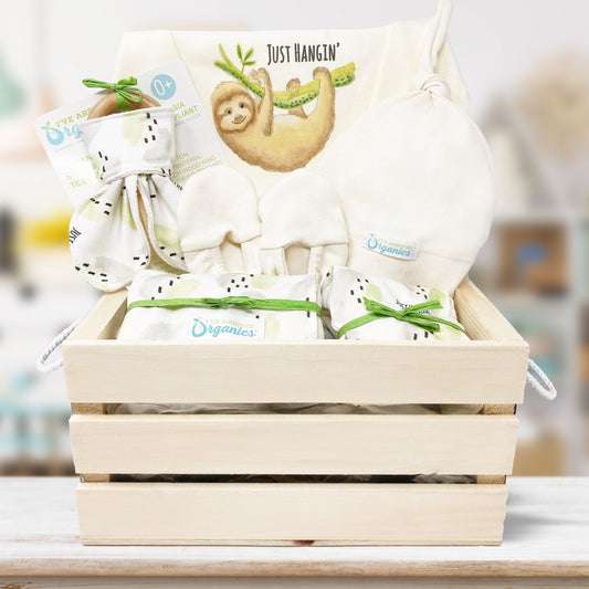Personalized Sloth Gender Neutral Baby Gift Basket