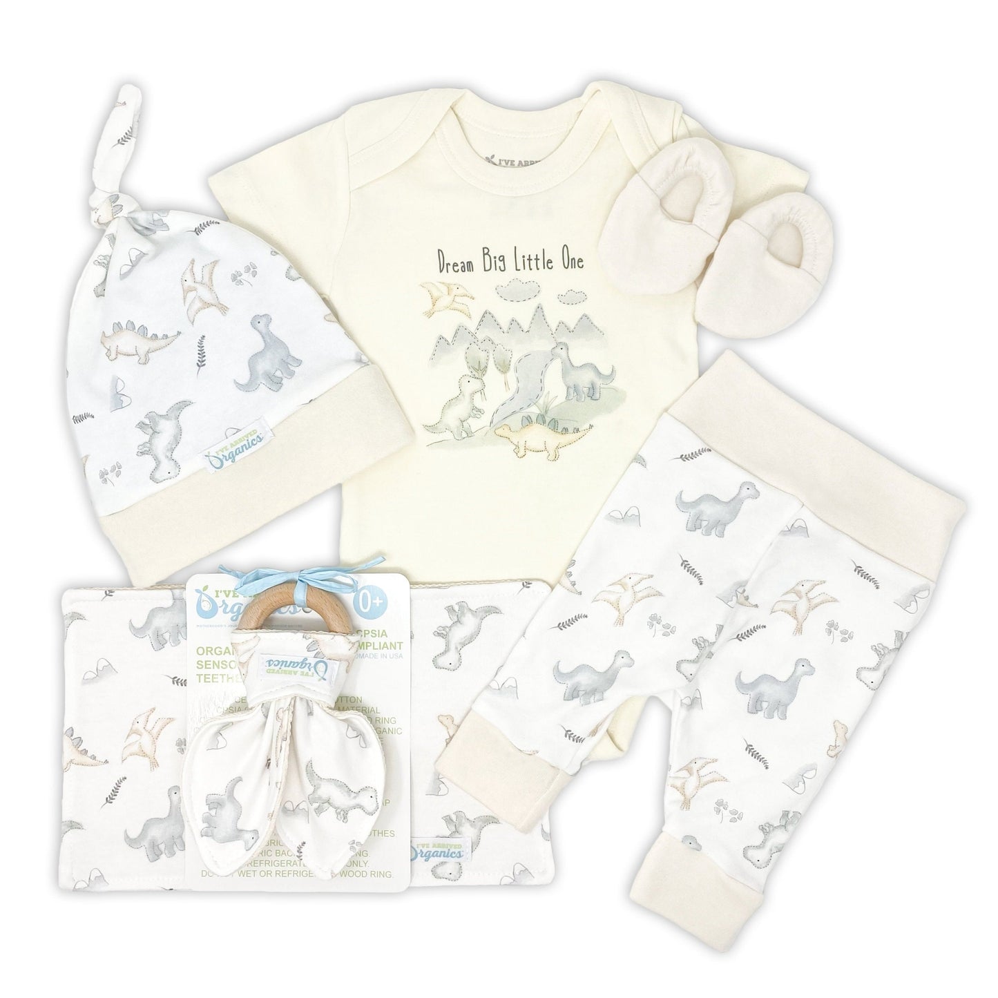 Personalized Dinosaur Baby Boy Gift Basket