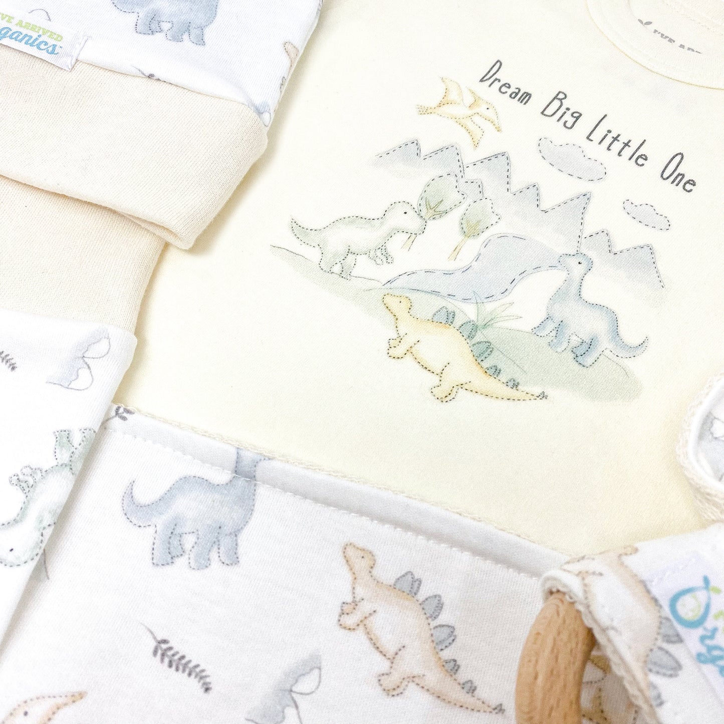 Personalized Dinosaur Baby Boy Gift Basket