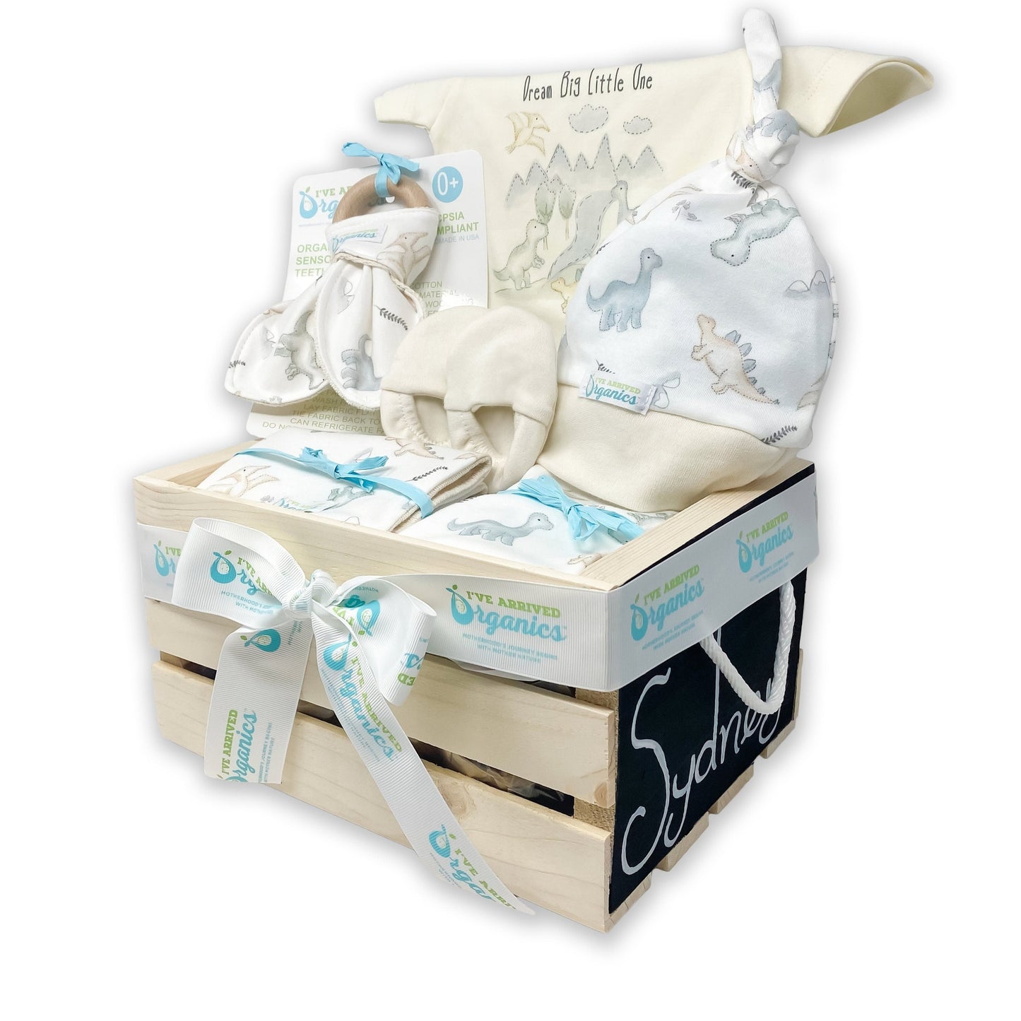 Personalized Dinosaur Baby Boy Gift Basket